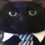 KittenWuver