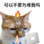 麻辣五香盐焗兔头