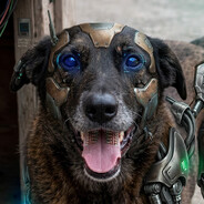 Cyber Orelha