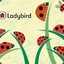 LadyBirD