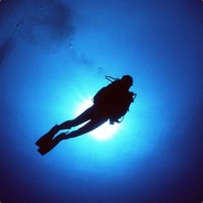 Антон Воронин avatar