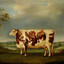 HIGH YIELD CATTLE