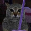 Hematogesha's avatar