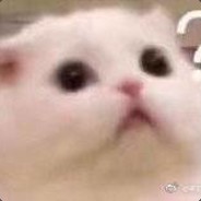 不是明天开学吗