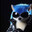 Player avatar