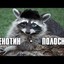 Энотик_Полоскун