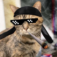 Trap Cate