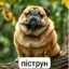 ПiСТРУН