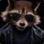 CrAzY RacCoOn