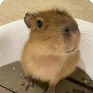 爱吃抹茶的女孩爱上我