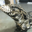 Tegu