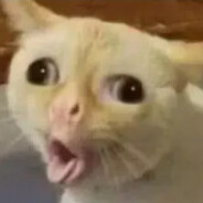 票完昌说自己的探店博主