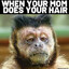 Monkey_slayer(GAG)