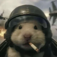 zippy - steam id 76561198165343760