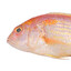 Bisugo