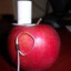 Sr.Apple III