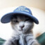 CaLLlok_Caxapok