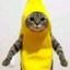 GATO BANANA