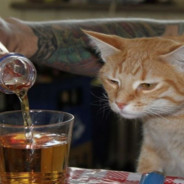 Violent Drunk