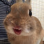 binky2013