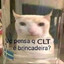 Felipoviski