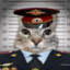 |Cat|Boris