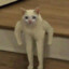 Tit3knyt3