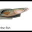 the fish