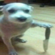 ✩ ! PERRO CON CUCHILLO