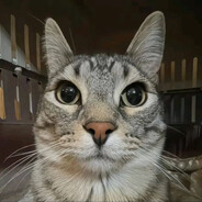 Чiсноk