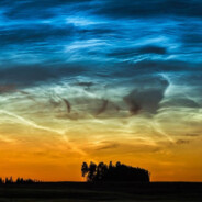 墨菲特网络连接