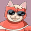 Omni cat