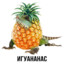 ЛИЛПИВО