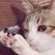 猫猫的枪有什么威力呢