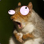Bionic Squirrel