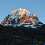 哇！金色传说！