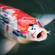 Flo_Fishing