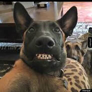 プシェモ skins.army