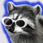 Cool Racoon