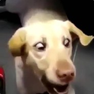 TA DEMAIS O BAR DA PRAIA OH MANO