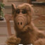 Alf (Gordon Shumway)