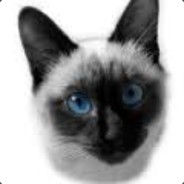 Lord Cat avatar