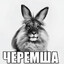 382myu