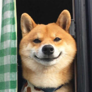 阁下又该怎么盗号