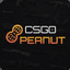 Le Tactic  CSGOPeanut.com