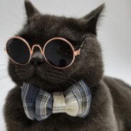 再到那个乌托邦