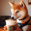 Pumpkin spice latte doge