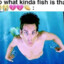 Littlequeef11