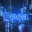 peca 402