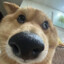 晴杉